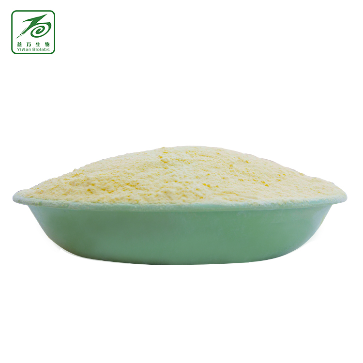 供應(yīng)用于食品|*|窩窩頭的膨化玉米粉，膨化玉米粉價格