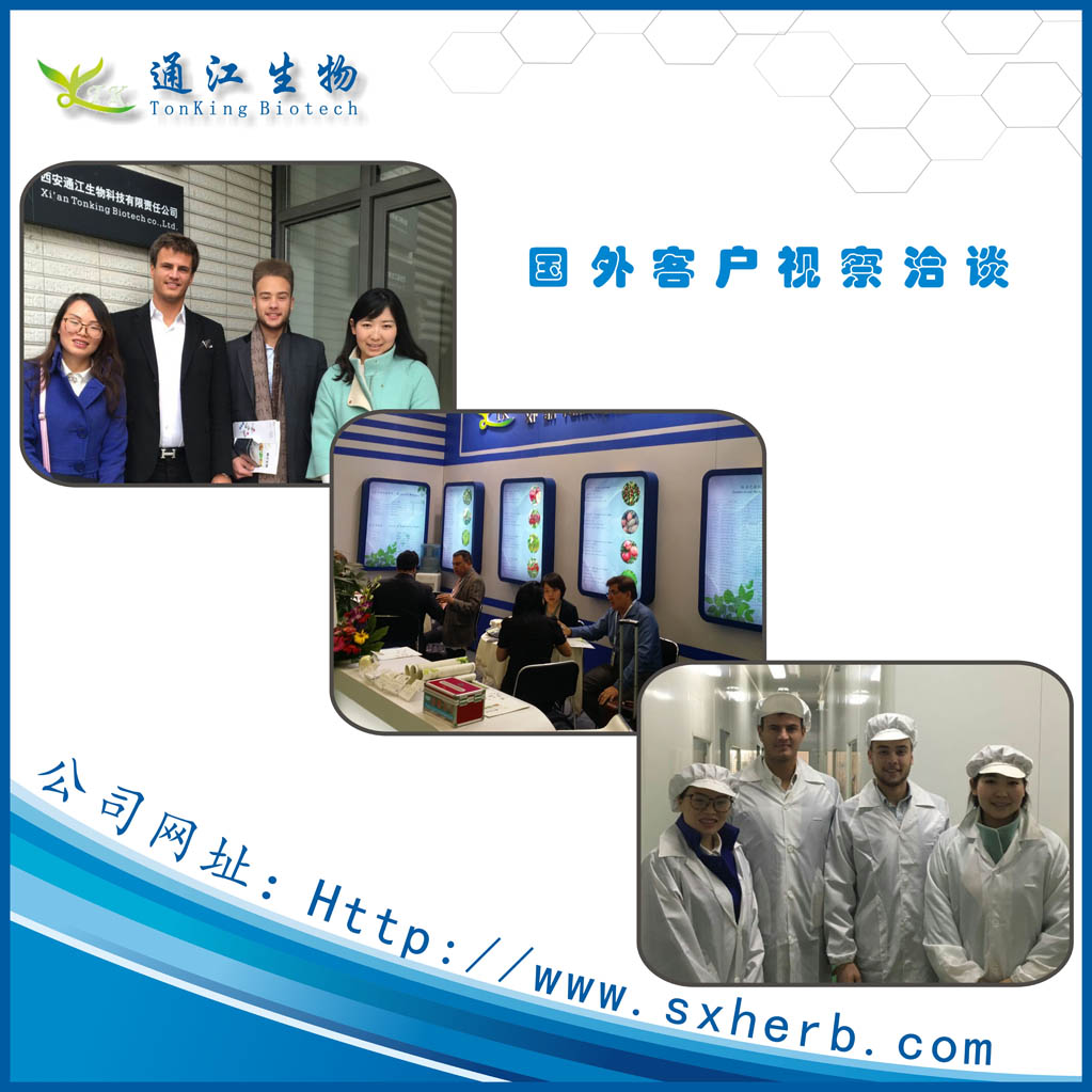 Beta-胡蘿卜素96% 按照企