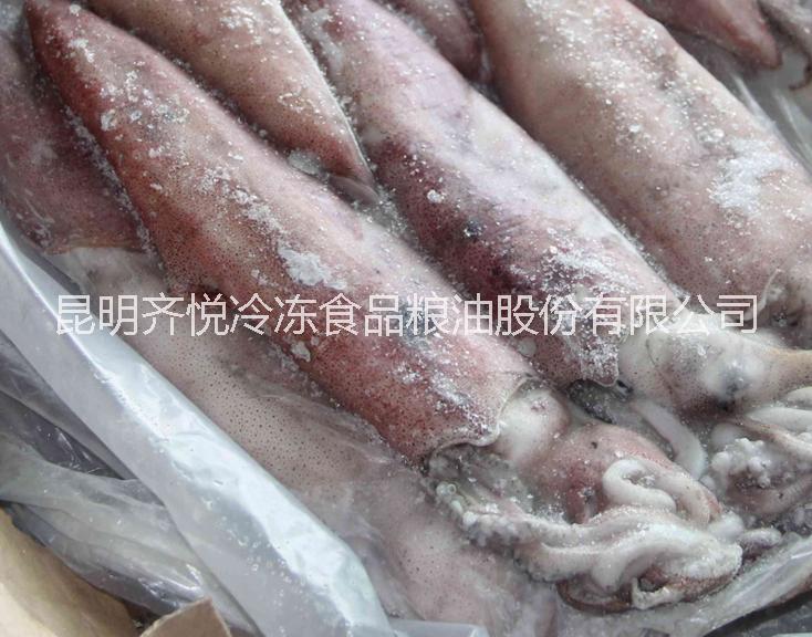 供應(yīng)冷凍魷魚(yú)排-魷魚(yú)批發(fā)廠家-供應(yīng)進(jìn)口魷魚(yú)須-魷魚(yú)嘴批發(fā)商家