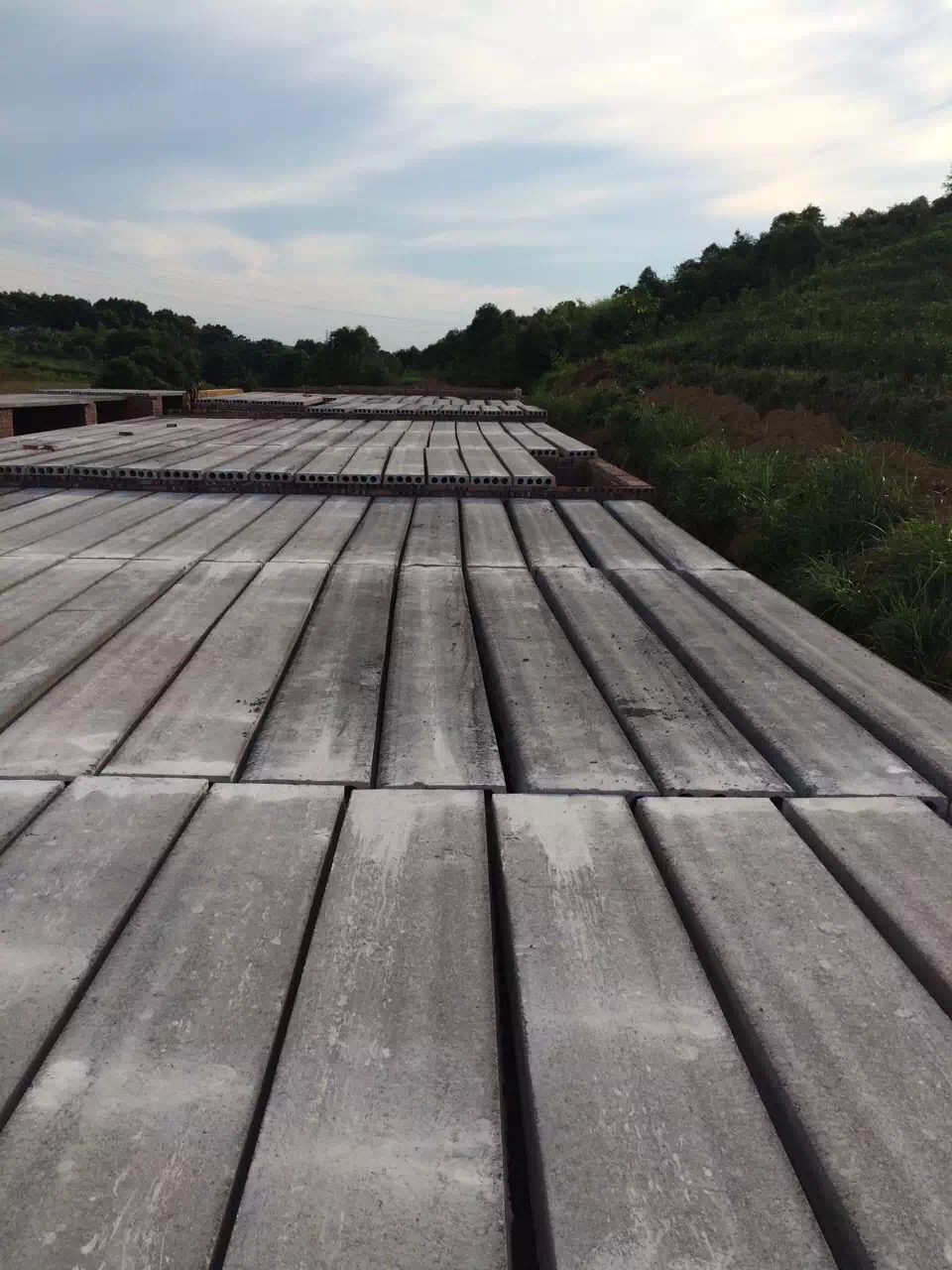 萍鄉(xiāng)臘市空心板