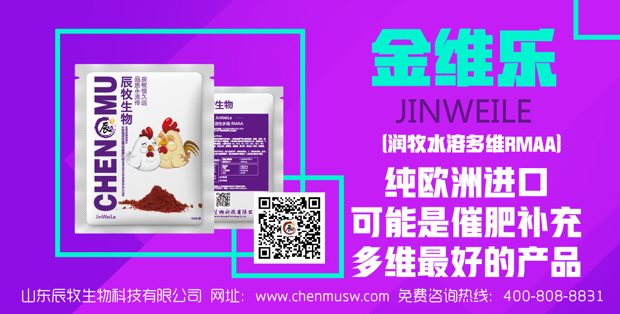 治liao雞的輸卵管炎 雞輸卵管發(fā)炎用什么藥 山東辰牧金維樂