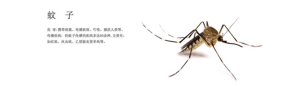 咸寧消殺公司，咸寧滅老鼠公司