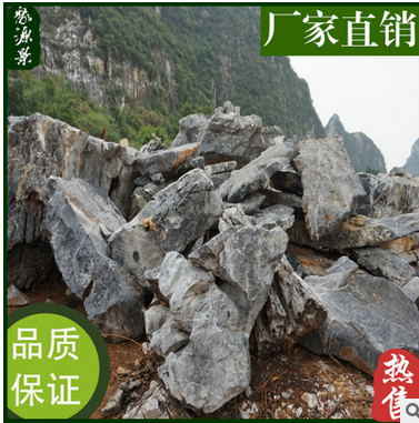 產(chǎn)地直銷景觀太湖石 觀賞太湖石價(jià)錢 駁岸石 廣東太湖石