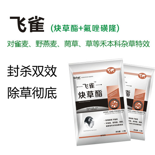小麥*野燕麥雀麥*飛雀