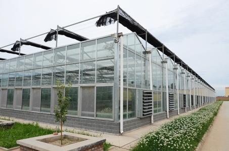 蔬菜大棚 蔬菜大棚廠家便宜