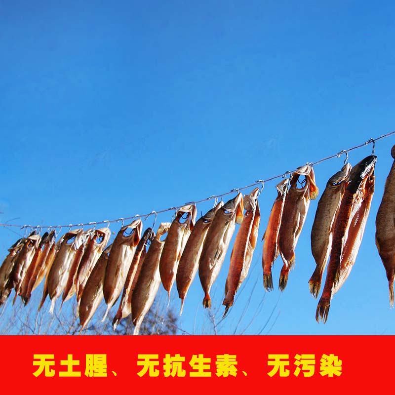 松花江黑斑狗魚一直鮮狗魚 一直鮮松花江黑斑狗魚