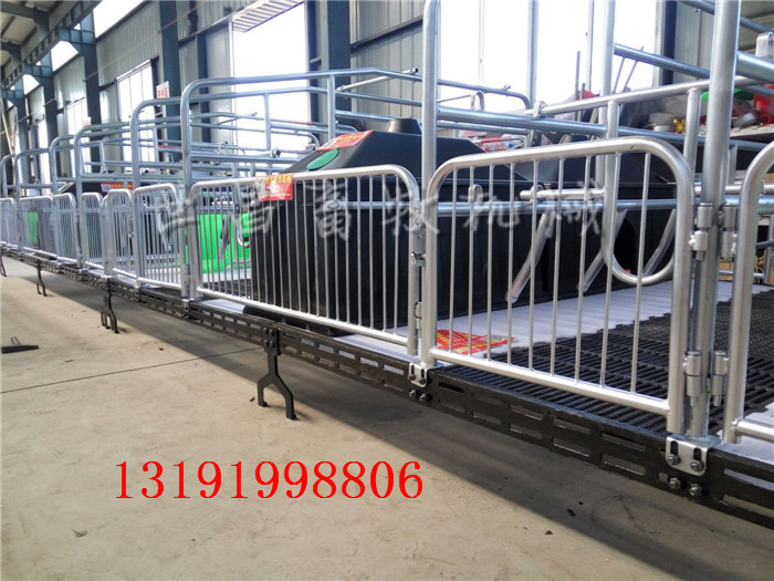 河北養(yǎng)豬設(shè)備母豬產(chǎn)床豬廠*產(chǎn)床世昌母豬分娩產(chǎn)床