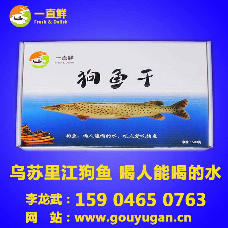 松花江黑斑狗魚一直鮮狗魚 一直鮮松花江黑斑狗魚
