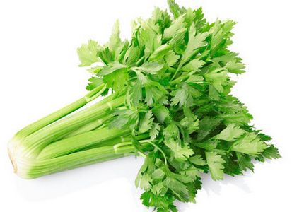 有機芹菜 中線渠首蔬菜批發(fā)