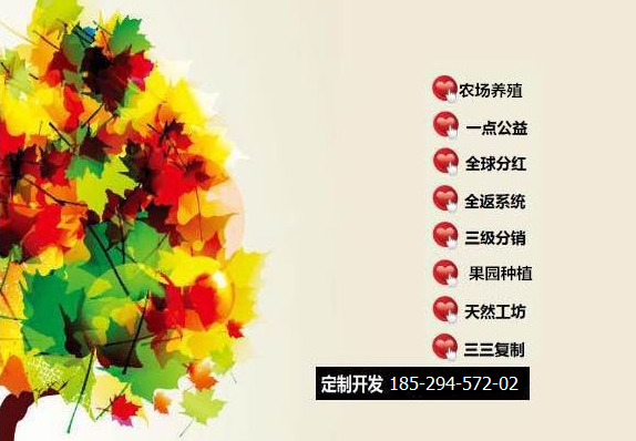 惠益商城返利系統(tǒng)app軟件定制開發(fā)