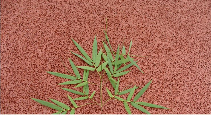 露骨料透水地坪 透水混凝土