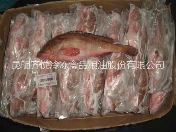 供應(yīng)冷凍松魚(yú) 冷凍松魚(yú)批發(fā)商家 鱸魚(yú)批發(fā)商家 進(jìn)口紅三魚(yú)