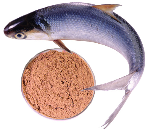 飼料添加劑 飼料香味劑 魚腥香