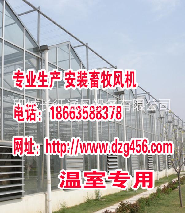 供應(yīng)無錫南昌免電渦輪通風(fēng)器  畜牧風(fēng)機(jī)價(jià)格