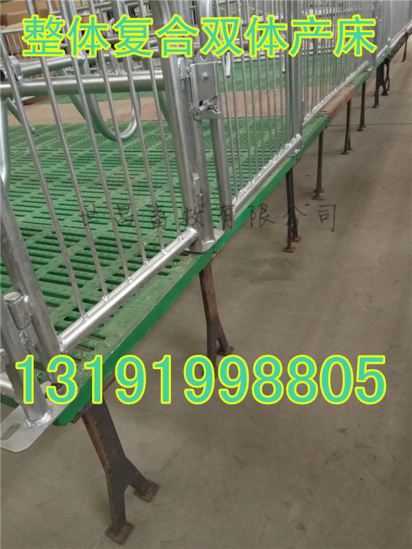 現(xiàn)代化養(yǎng)豬設(shè)備加重雙體母豬產(chǎn)床