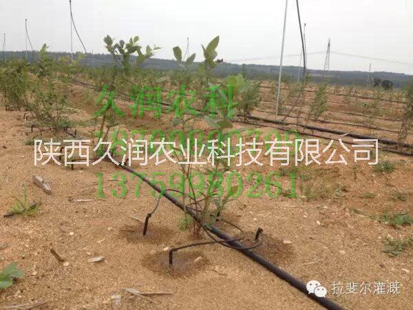 貼片式滴灌帶及相關(guān)配件大量供應(yīng)