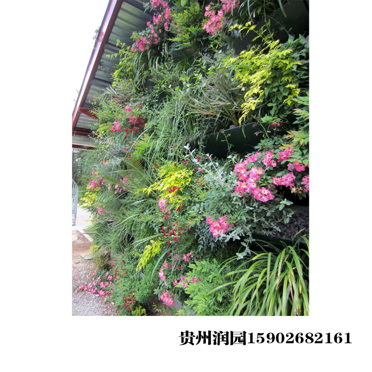 貴陽智能生態(tài)墻立體綠化，遵義高速行道樹綠化設計及施工方案