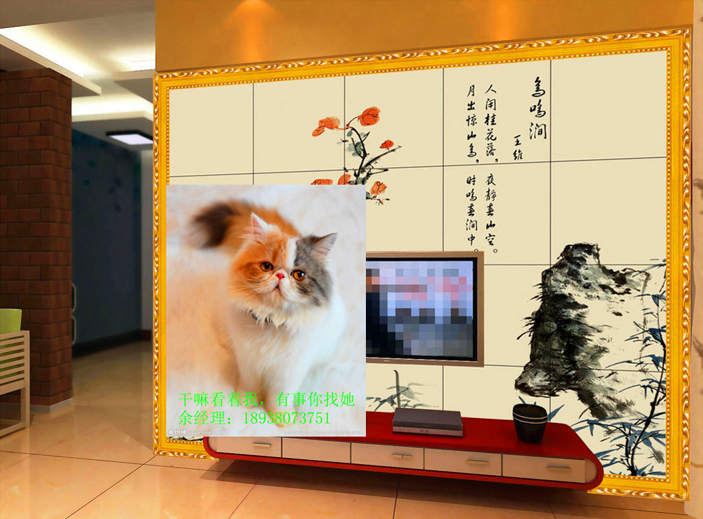 浙江供應(yīng)彩色印刷機(jī)瓷磚背景墻彩印機(jī)廠家直接報(bào)價(jià)