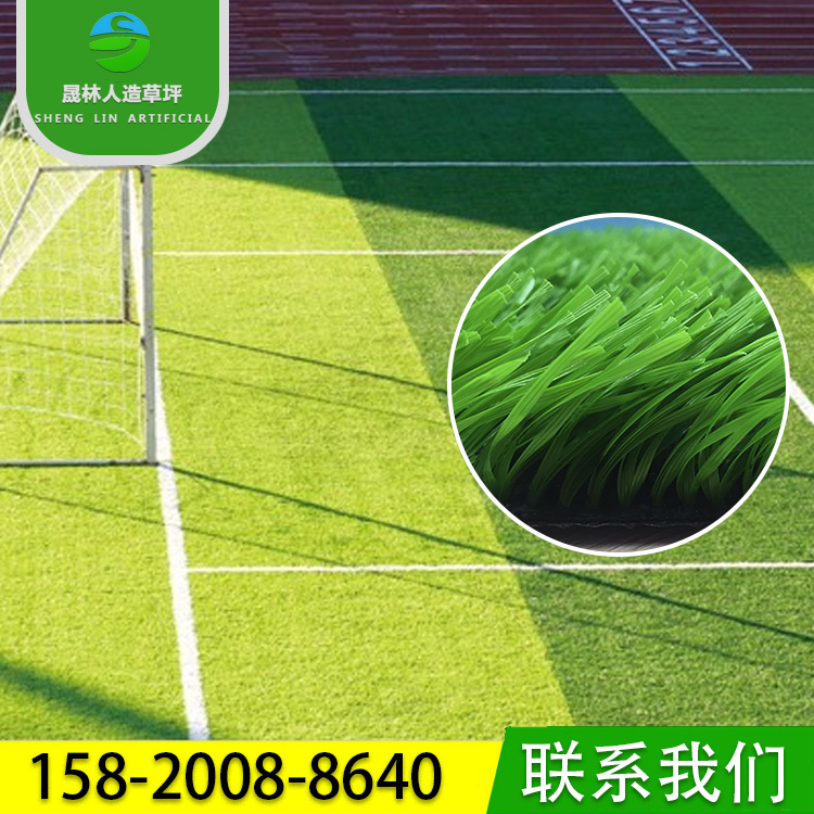 人造草坪 運(yùn)動草坪 足球場假草坪