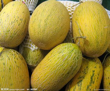 供應(yīng)陜西哈密瓜 陜西甘密寶哈密瓜價格基地