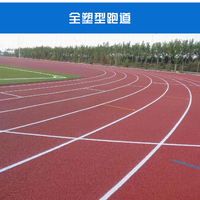 全塑型跑道耐候性好排水優(yōu)良色彩柔和粘接力強價格實惠全塑型跑道廠家供應