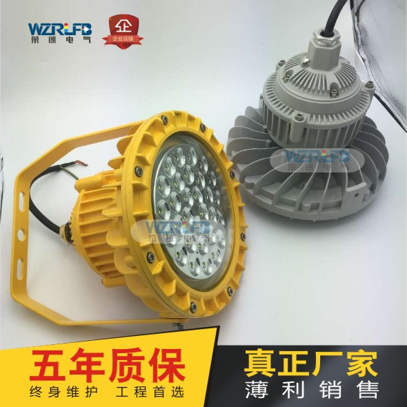 RLB154LED防爆泛光燈
