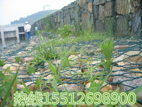高爾凡賓格網(wǎng)廠家@鍍鋅賓格網(wǎng)工程@公路擋墻賓格網(wǎng)