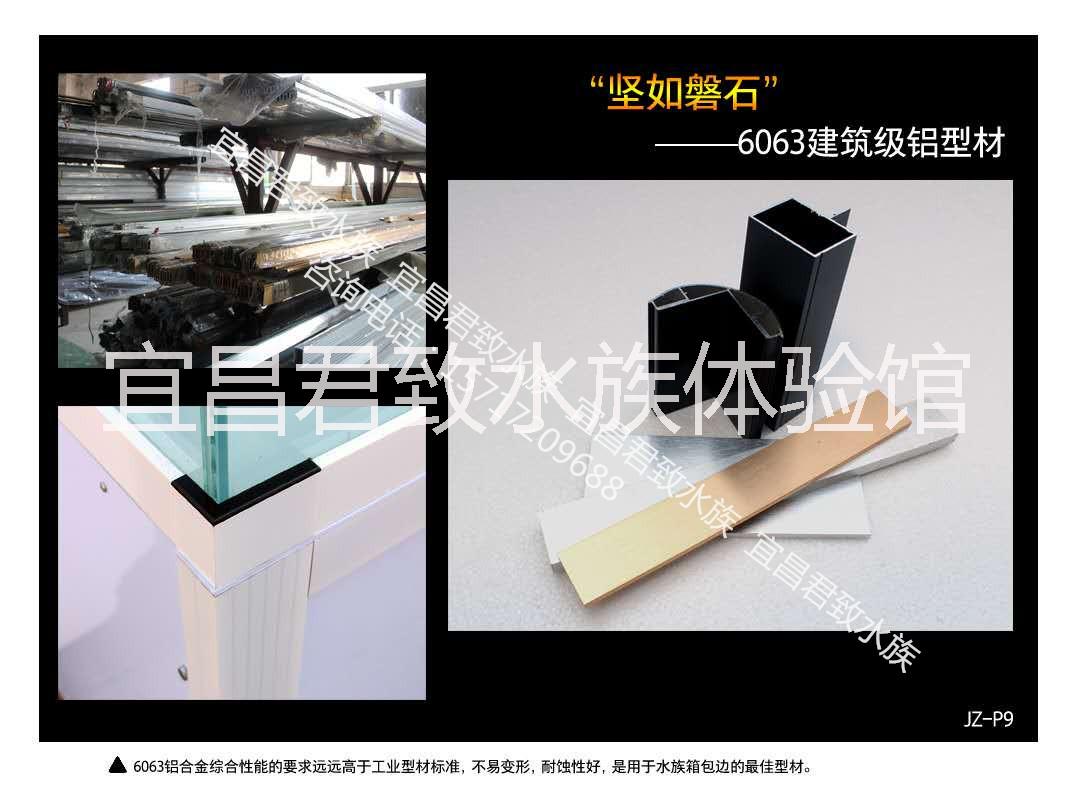 宜昌君致水族魚缸專業(yè)定制