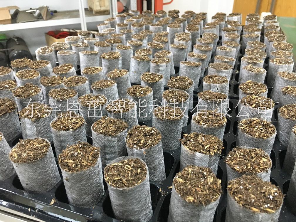 平底50孔加厚芽苗營養(yǎng)缽花卉育苗