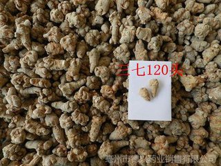 18頭三七價格  文山三七功效 18頭三七廠家 18頭三七報價