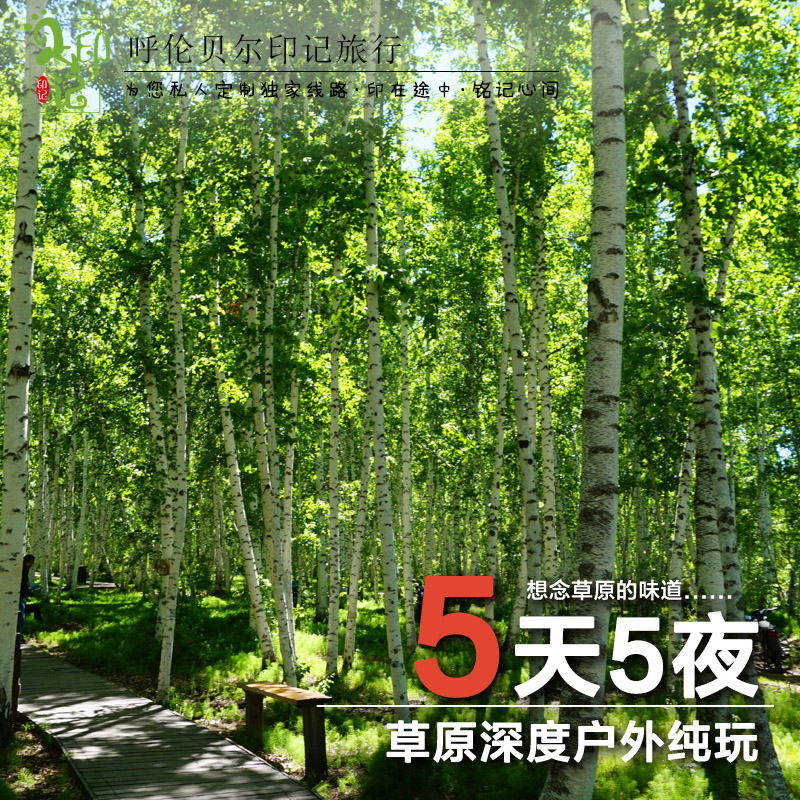 呼倫貝爾旅游哪家便宜_呼倫貝爾旅游包車公司_漠河旅游包車電話