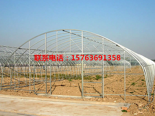 拱棚溫室 單棟拱棚薄膜溫室大棚 太原單棟拱棚溫室大棚效果怎么樣