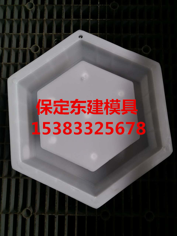 保定東建模具 供應(yīng)六棱塊護(hù)坡塑料模具