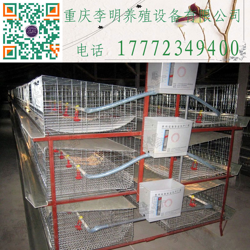 育雛籠 雛雞籠 蛋雞育雛籠