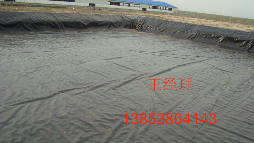 松原防滲膜質(zhì)優(yōu)價(jià)廉| 防滲膜厚度齊全