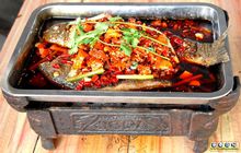 諸葛烤魚技術培訓