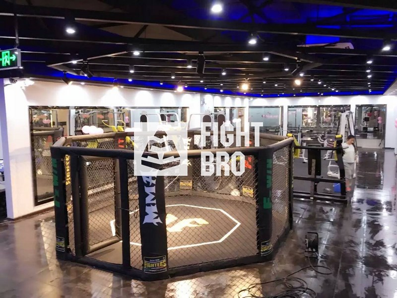 精英版落地格斗籠 MMA UFC 飛特氏精英版落地MMA格斗籠