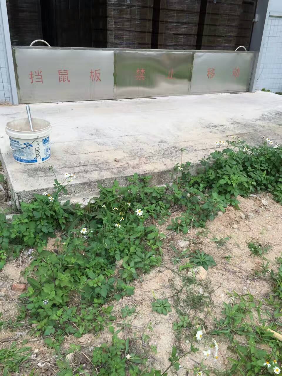 斗門(mén)區(qū)專(zhuān)業(yè)滅鼠防治 斗門(mén)區(qū)專(zhuān)業(yè)滅鼠公司 斗門(mén)區(qū)滅鼠防治電話(huà) 斗門(mén)區(qū)專(zhuān)業(yè)滅鼠防治工程 斗門(mén)區(qū)專(zhuān)業(yè)滅鼠防治價(jià)格