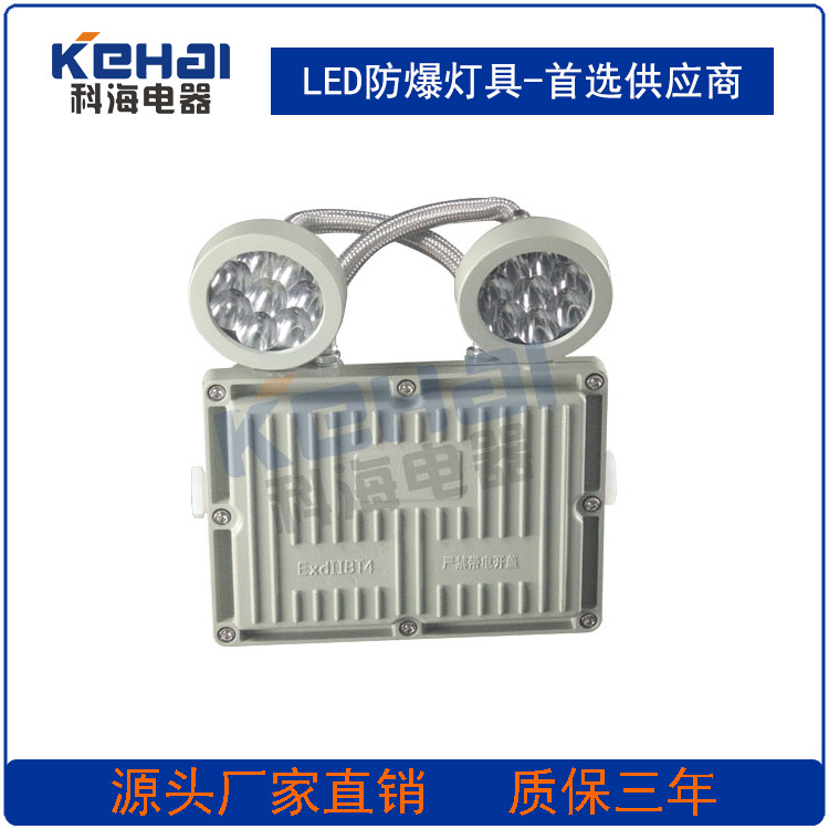 供應(yīng)消防應(yīng)急燈  LED防爆應(yīng)急燈