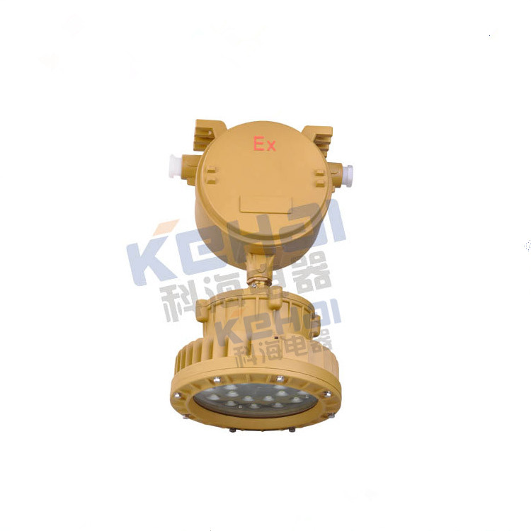 供應(yīng)BED150-J20W - 40W大功率LED防爆應(yīng)急照明燈