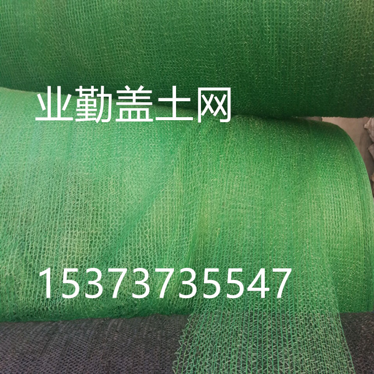 廠家直銷綠色蓋土網(wǎng) 兩針蓋土網(wǎng)  工地防塵蓋土網(wǎng)