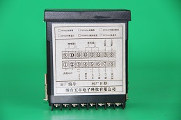 脈沖顯示表，數(shù)顯表，WF600