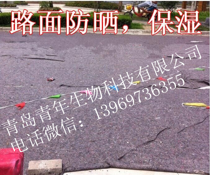 黑棉氈，水穩(wěn)層養(yǎng)生氈，公路養(yǎng)護(hù)毯-毛氈-混凝土養(yǎng)護(hù)無紡布