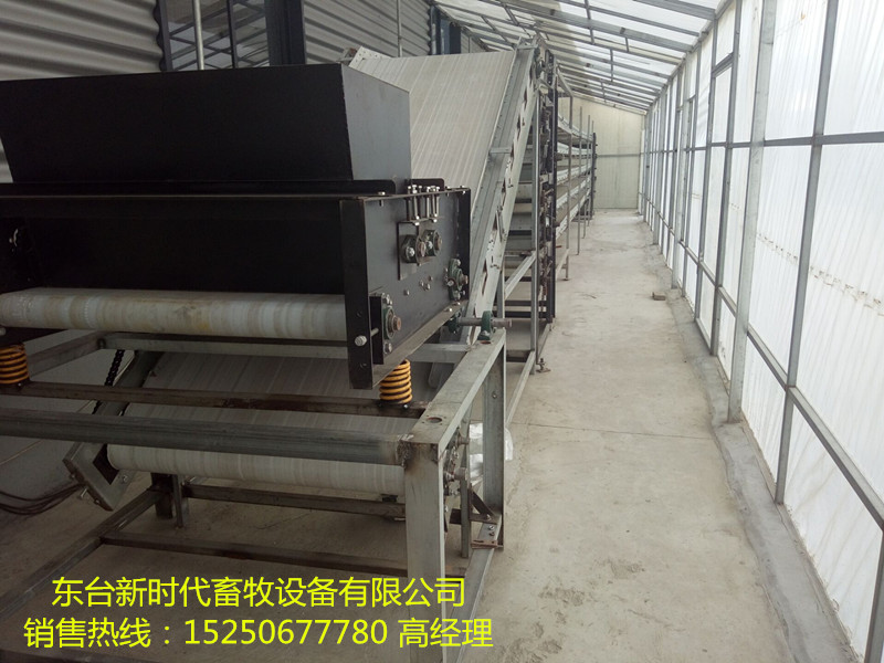 廠家專業(yè)生產(chǎn) 養(yǎng)雞自動(dòng)縱向集蛋機(jī) 橫向集蛋機(jī) 中央升降集蛋機(jī) *惠 集蛋設(shè)備