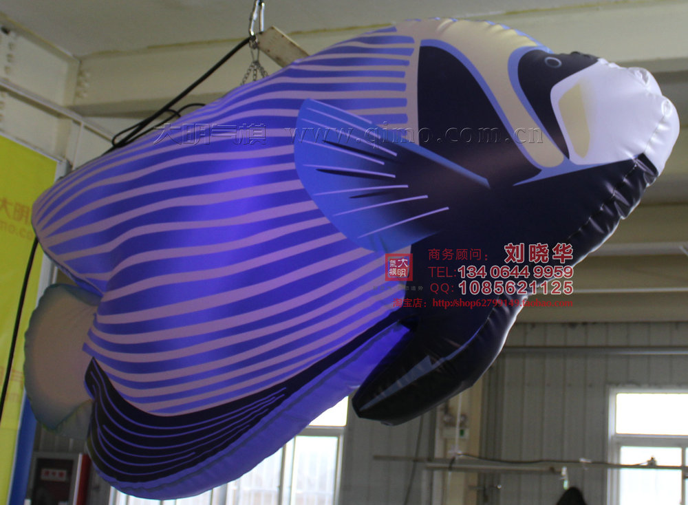 大明氣模繽紛熱帶魚氣模