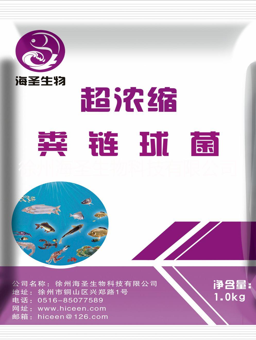 超濃縮糞鏈球菌