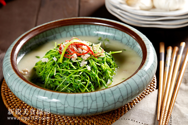 菜譜設(shè)計(jì)菜品拍攝