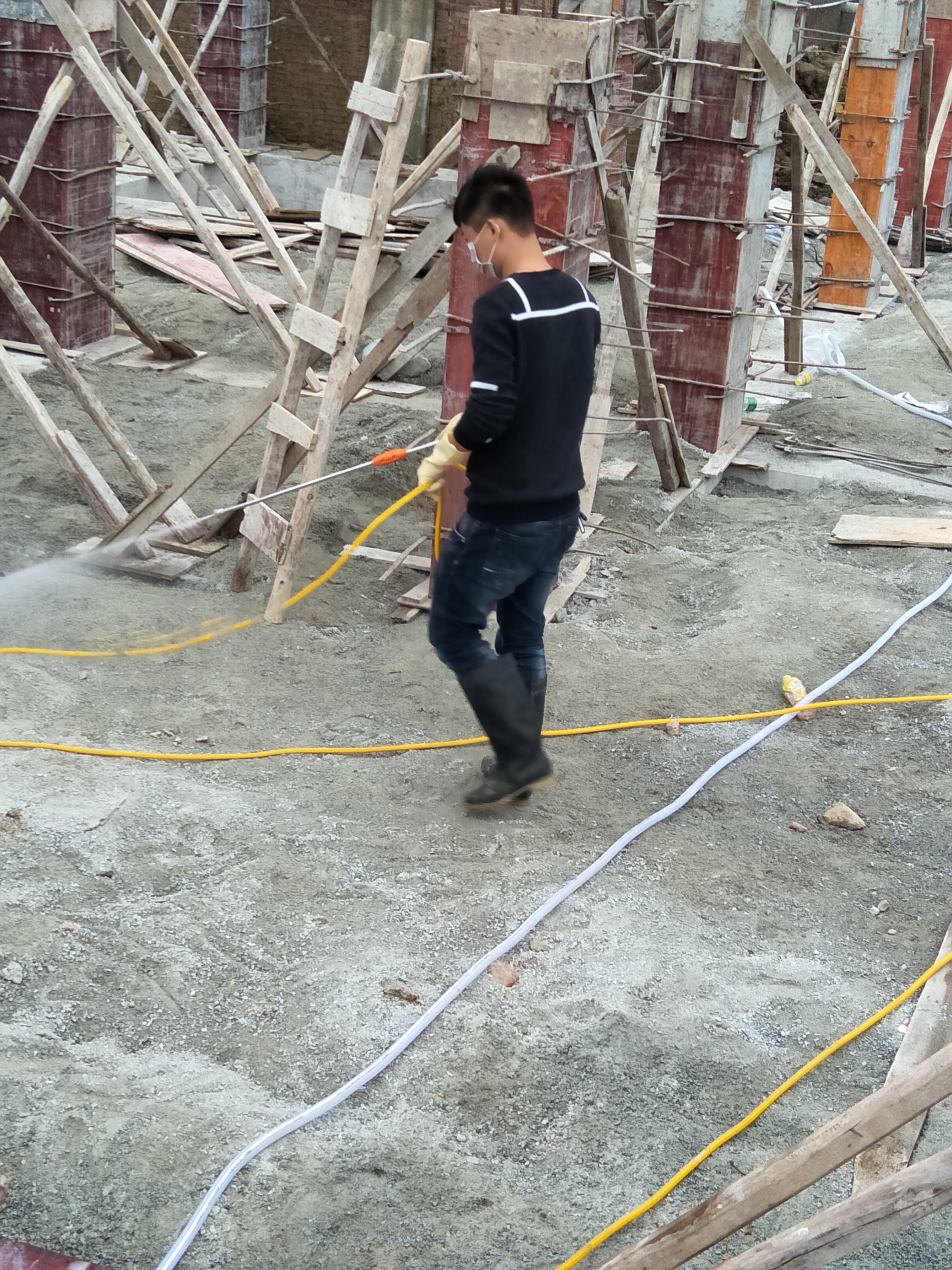 供應(yīng)白蟻防治方法