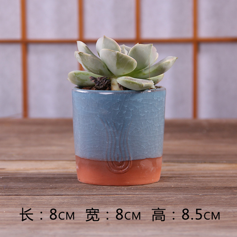 冰裂陶瓷花盆冰裂陶瓷花盆廠家 冰裂陶瓷花盆價格冰裂陶瓷花盆批發(fā)
