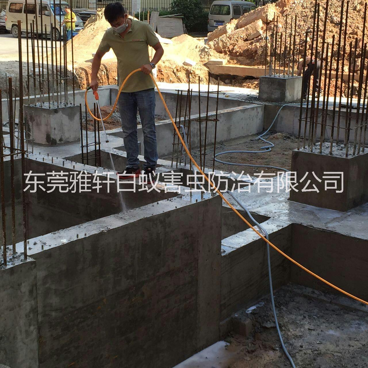 東莞滅白蟻滅蟲價格 滅白蟻滅蟲那家好 滅白蟻滅蟲聯系電話